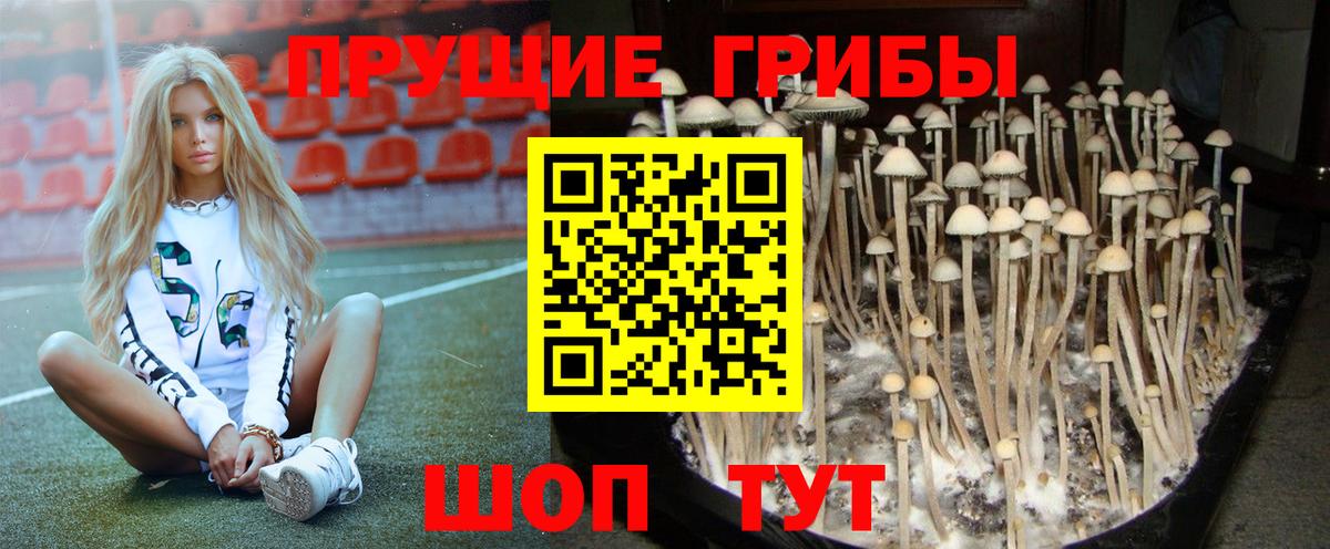 Галлюциногенные грибы Magic Shrooms Топки